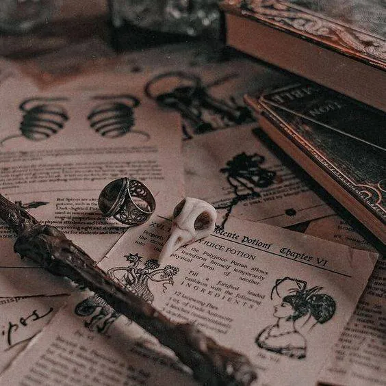 Image posted by the member