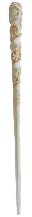 Image posted by the member