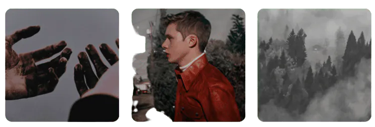 Image posted by the member