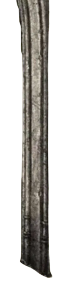 Image posted by the member