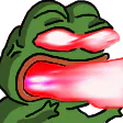 Image posted by the member
