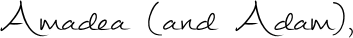 Image posted by the member