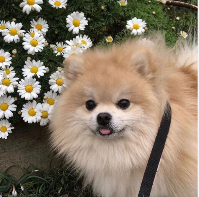 Image posted by the member