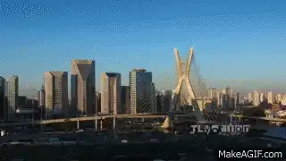 Image posted by the member