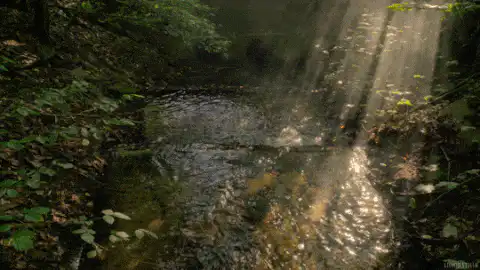 Image posted by the member