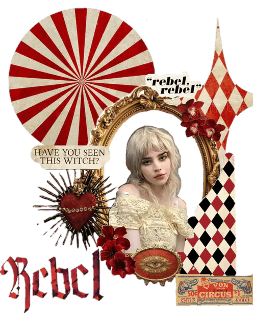Image posted by the member