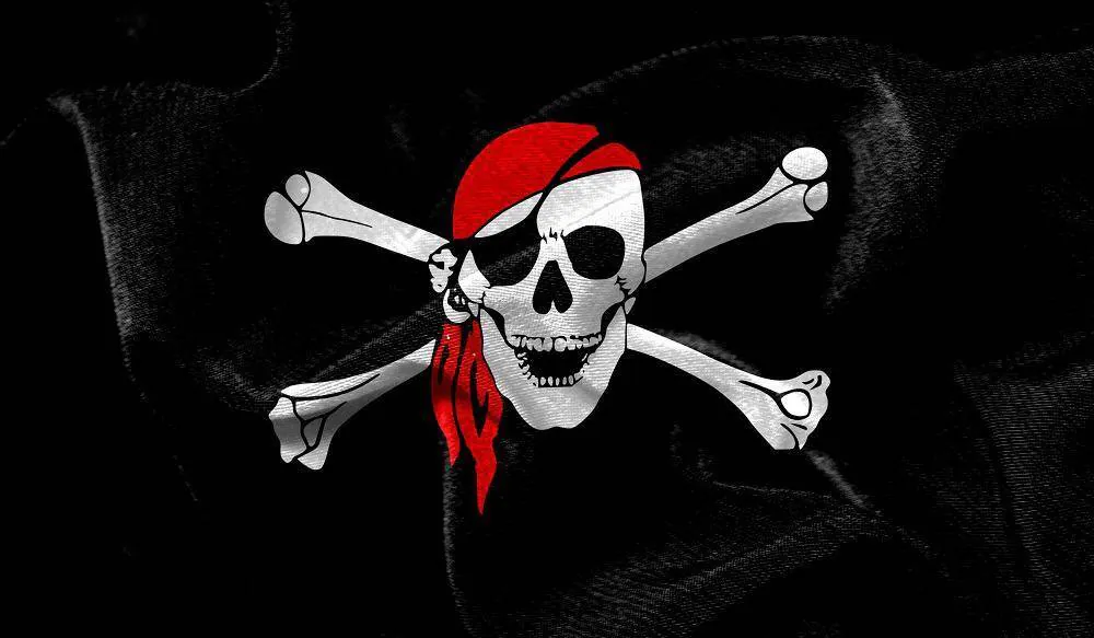 Image posted by the member