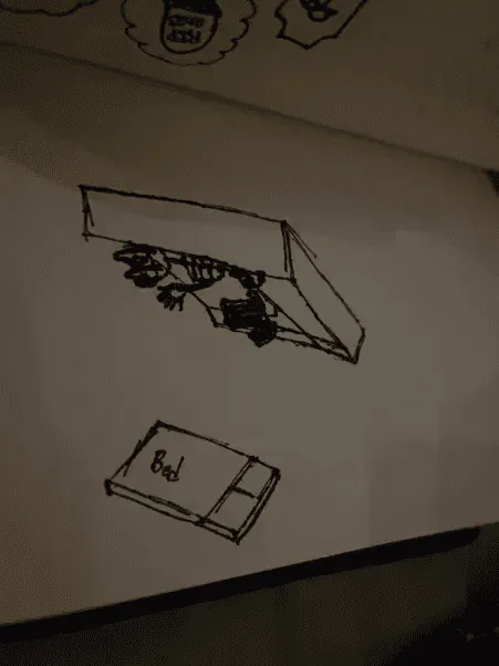 Image posted by the member