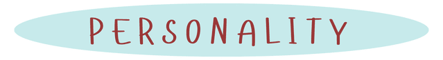 Image posted by the member