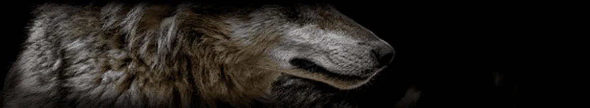 Image posted by the member