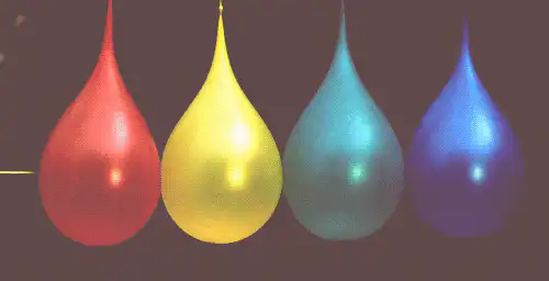 Image posted by the member