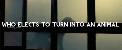Image posted by the member