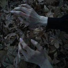 Image posted by the member