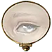 Image posted by the member