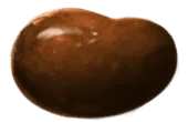 Image posted by the member
