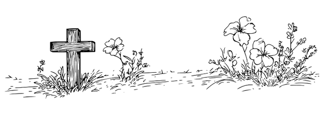 Image posted by the member