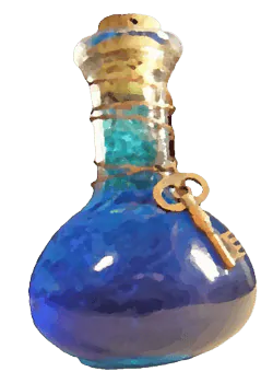 Image posted by the member