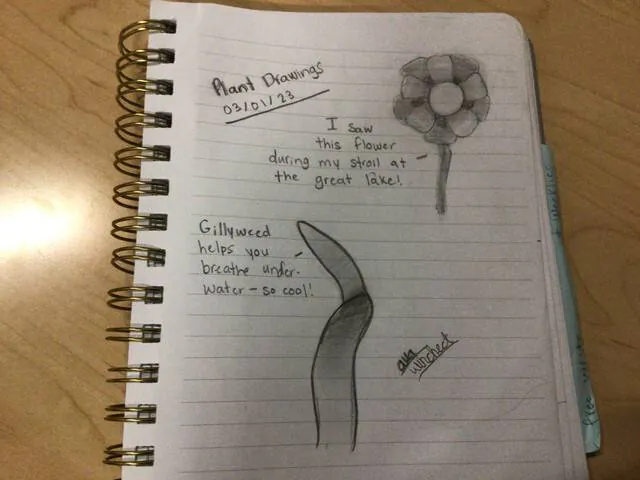 Image posted by the member