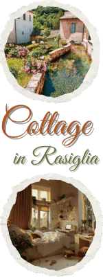 Image posted by the member