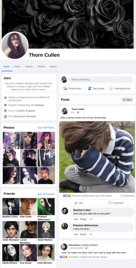 Image posted by the member