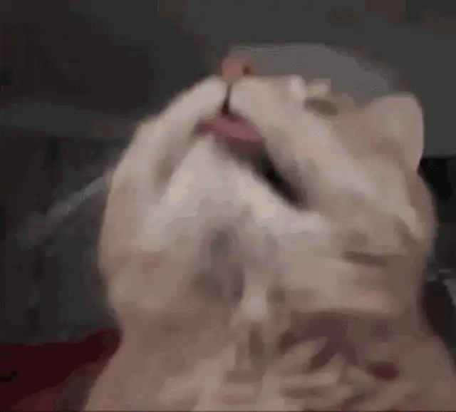 Image posted by the member