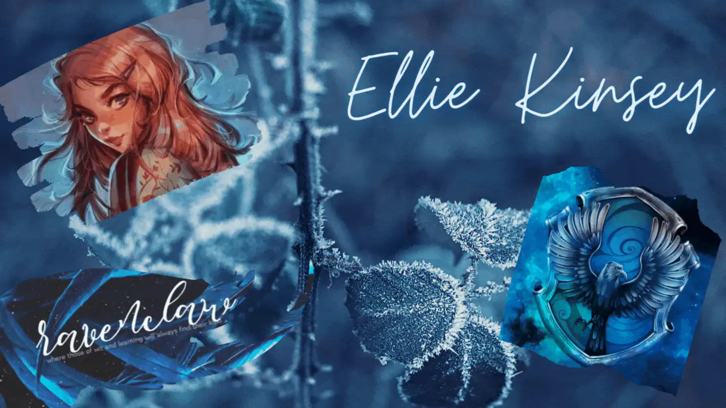 Image posted by the member