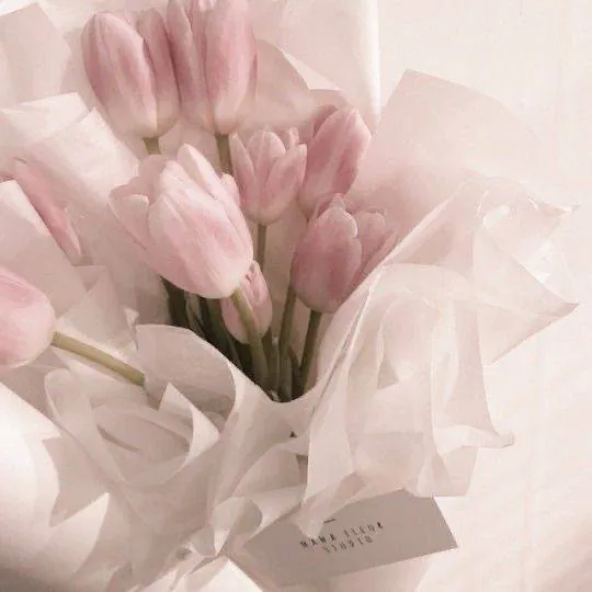 Image posted by the member