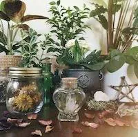 Image posted by the member