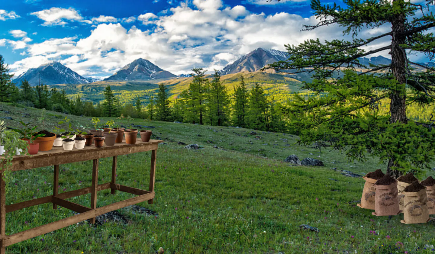 Koldovstoretz's Tree Planting Ceremony, a table laden with saplings and dragon dung in an open field.