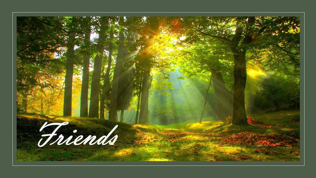 Image posted by the member