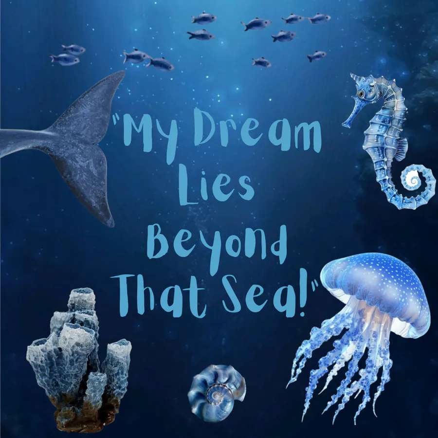 Image posted by the member