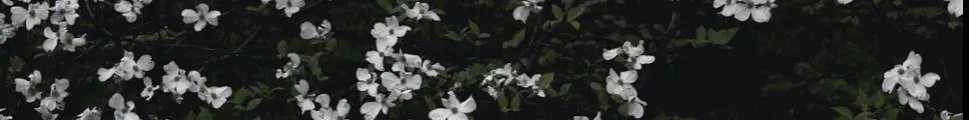Image posted by the member