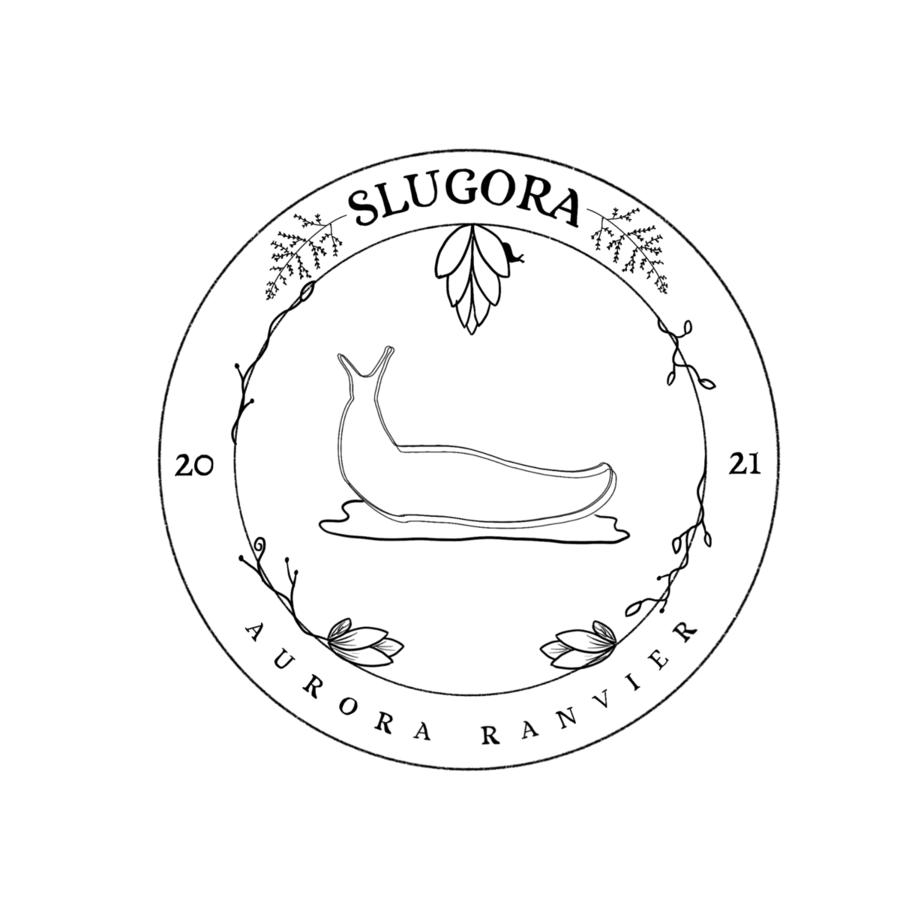 Image posted by the member