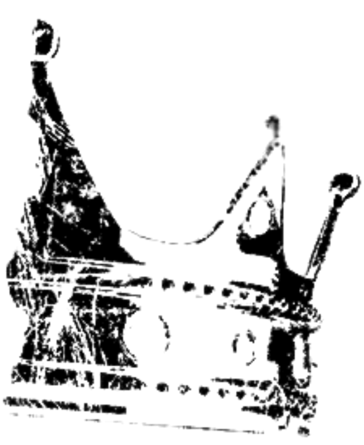 Image posted by the member