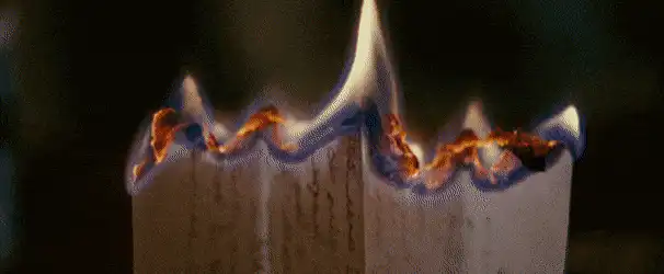 Image posted by the member