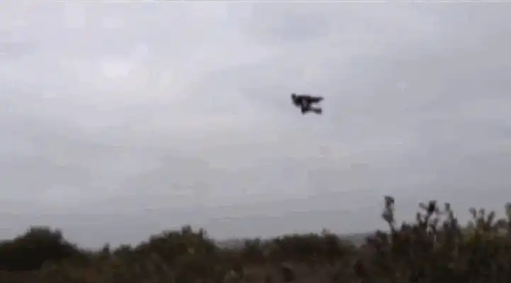 Image posted by the member