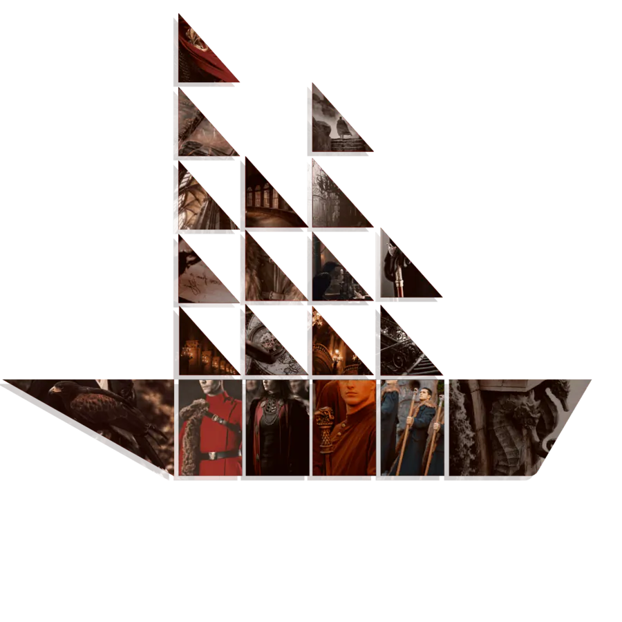 Image posted by the member