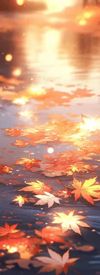 Image posted by the member