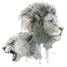 Image posted by the member
