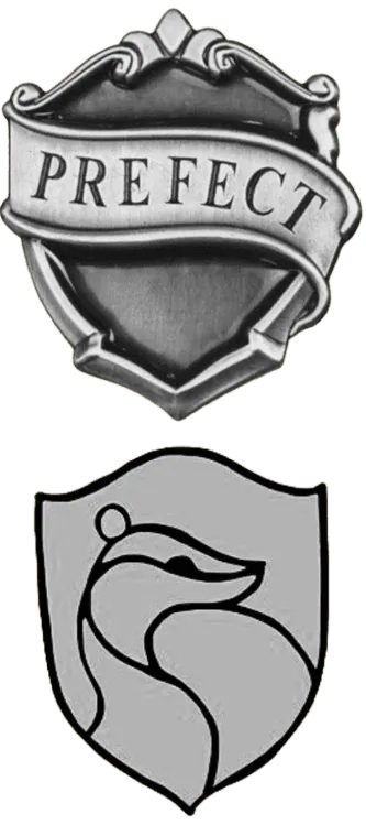 Image posted by the member