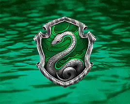 Image posted by the member