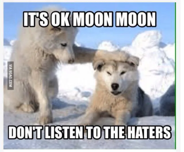 Image posted by the member