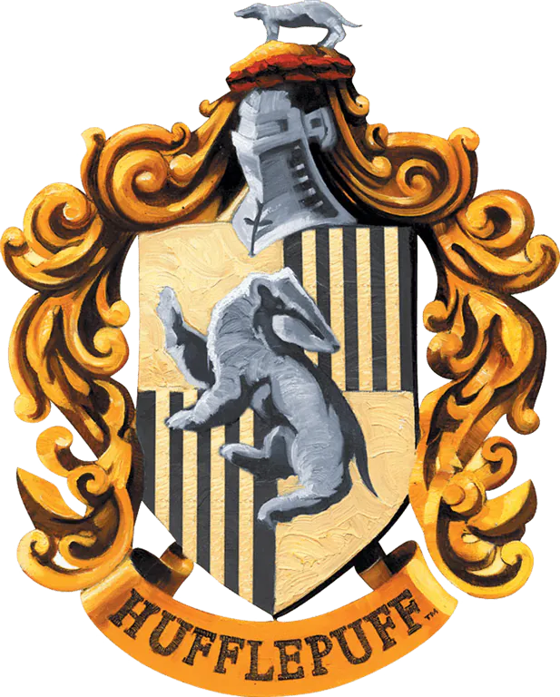 Image posted by the member