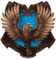 Image posted by the member