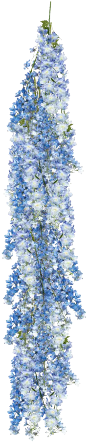 PERIWINKLE WINKS 2