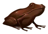 Image posted by the member