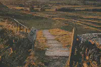 Image posted by the member