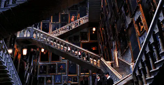 Image posted by the member