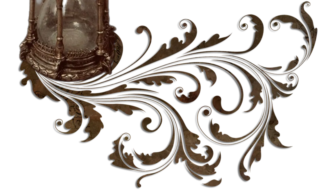 Image posted by the member