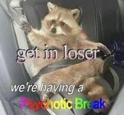 Image posted by the member